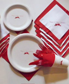 1st anniversary picnic