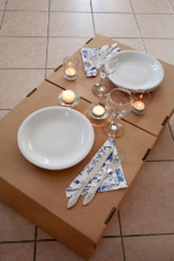 eco friendly 1st anniversary present