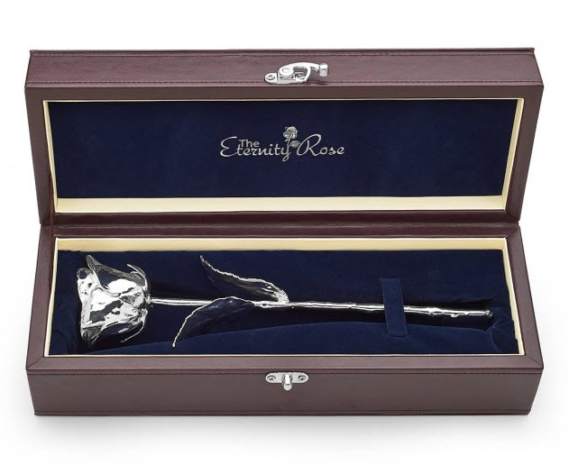 The Best 25th Wedding Anniversary Ideas Silver Dipped Natural Rose 25th Anniversary