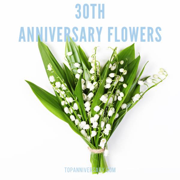 30th anniversary flower lilly of the valley 30th anniversary flower lilly of the valley