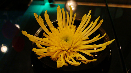 50th Wedding Anniversary Flowers
