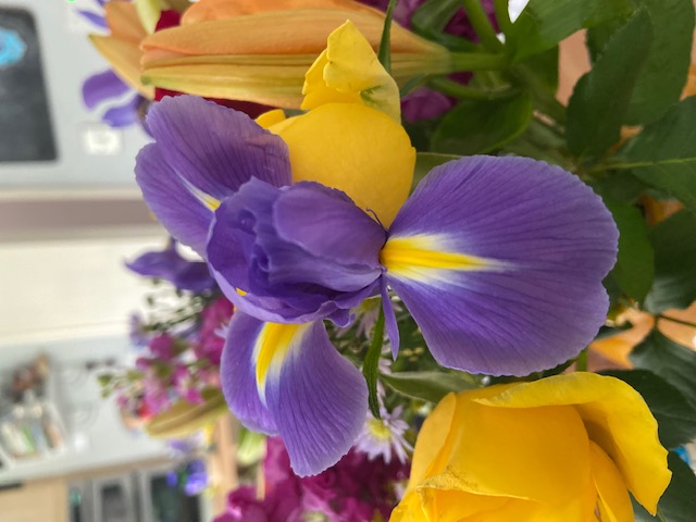 Gorgeous 60th Anniversary Flowers