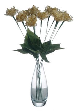 golden anniversary roses