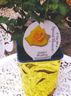 golden anniversary rose