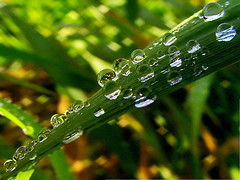 diamonds for your 60th anniversary