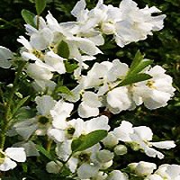 30th anniversary gifts for parents