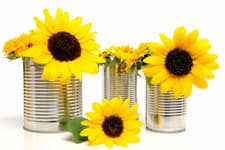 10th anniversary symbol - tin